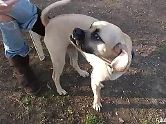 Only Asian Porn Videos 5